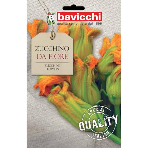 Bavicchi buste semi orto plus (Zucchino da fiore)
