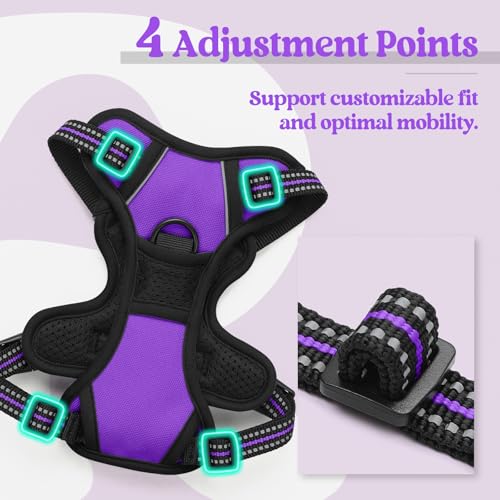 Image of rabbitgoo Dog Harness No Pull with 2 Leash Clips, Adjustable Soft Padded, Reflective Oxford No Choke Pet Vest with Easy Control Handle for Puppy, Purple,XS