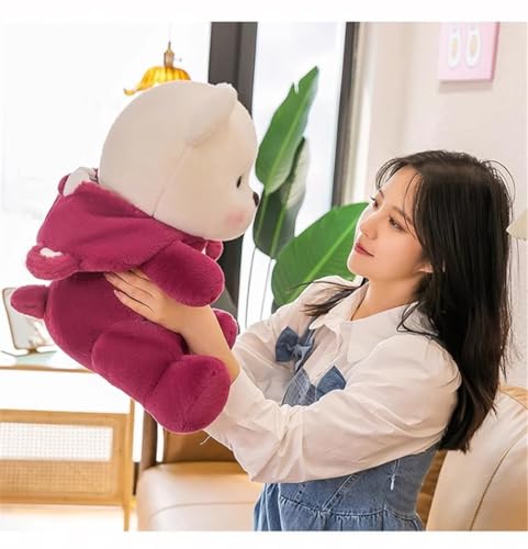 Image of Stuffed Animal Cute Plush Toy - Hugging Plush Squishy Pillow Toy Gifts (Hooded Hat Bear 30cm)