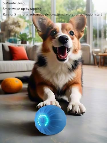 Winb-Interactive-LED-Dog-Ball-USB-Rechargeable-Motion-Activated-Rolling-Toy-for-MediumLarge-Dogs-Dogs-Ball-Play-and-Wicked-Fun