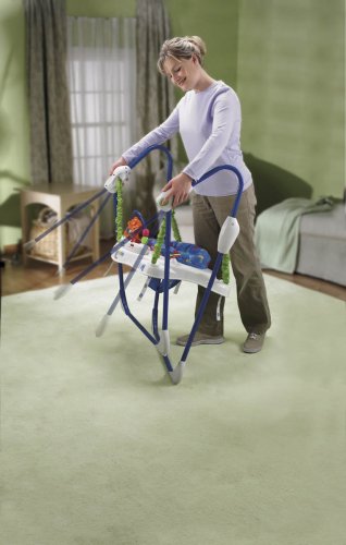 Fisher-Price Jumperoo: Deluxe