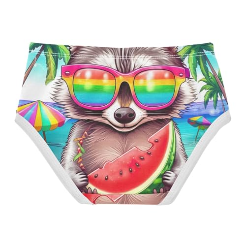 Toddler Underwear Custom 2t Cotton Cute Panties Girl Personalized Underpants Briefs Vibrant Watermelon Raccoon Holiday2