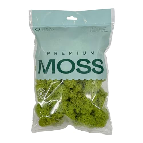 Quality Growers - Preserved Reindeer Moss - Moss for Crafts Home Decor Art Design & DIY Projects - Non-Toxic - USA Made (Chartreuse Small)