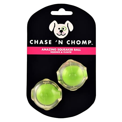 Small Amazing Squeaker Balls (2 pack)