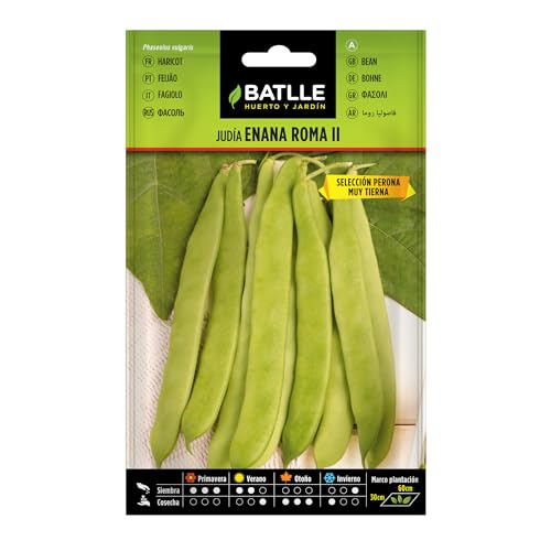 Semences horticoles de Batlle - Haricot nain Rome Perona (25g), Blanc