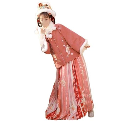 Costume de fée hanfu en tissu noble d'automne et hiver style Ming