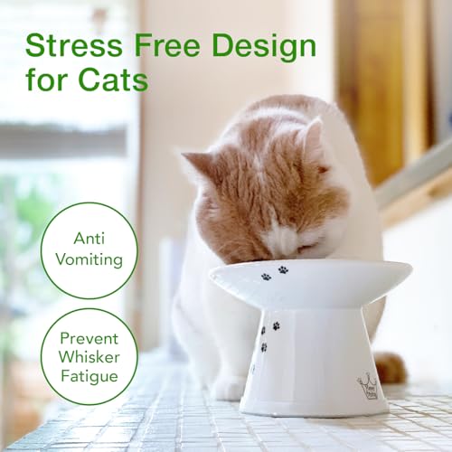 image for Necoichi Extra Wide Raised Cat Food Bowl, Elevated, Prevent Neck & Whi