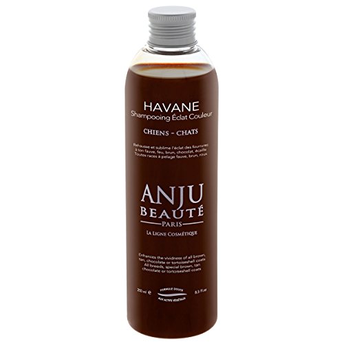 ShAMPOING ECLAT HAVANE ANJU 250 ML