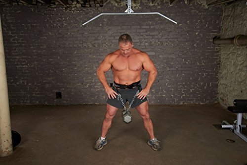 Haulin' Hooks E-Z Dip Dumbbell Dipping Belt #TOP2