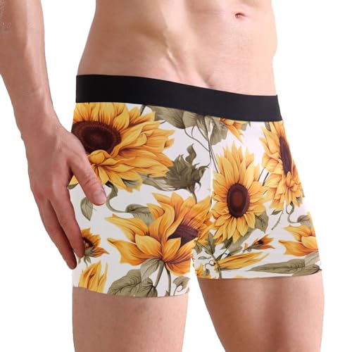Sunflower Flower Men's Boxer Briefs S 202a37834