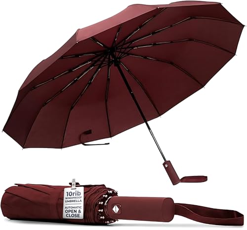 TANNESS Parapluie coupe-vent – 10 baleines imperméable et compact avec fonction d'ouverture et fermeture automatique et poignée ergonomique – Mini parapluie pliable – Parapluie solide pour le vent et
