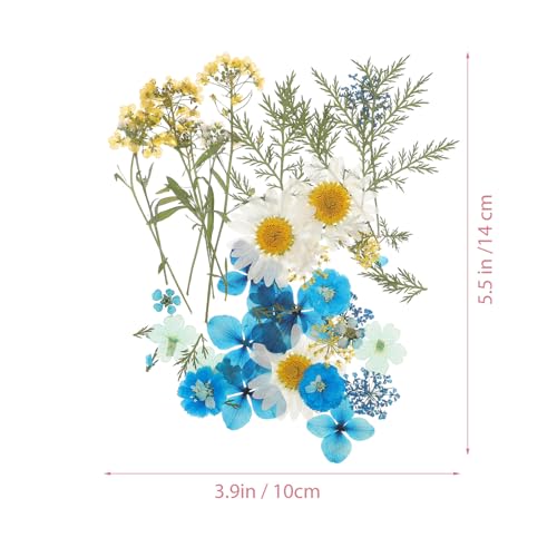 Set de flores secas prensadas para manualidades 33 piezas miniatura 2