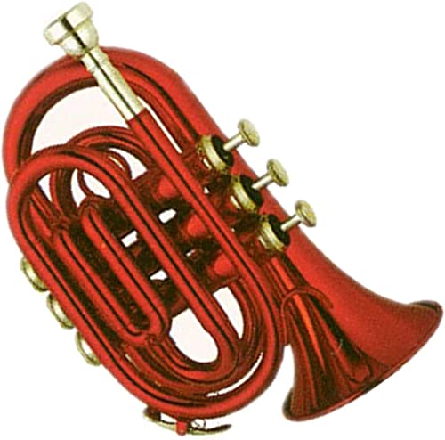 バストランペット Amazon.co.jp: Behning & Sons ロータリー バス