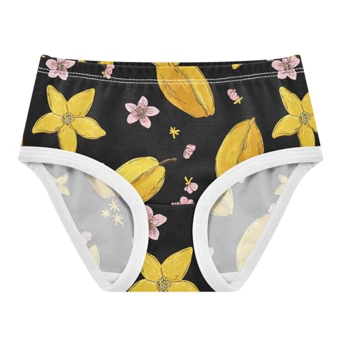 Wusikd Star Fruits Girls' Underwear Cotton Girls Briefs Soft Toddler Underwear 2T