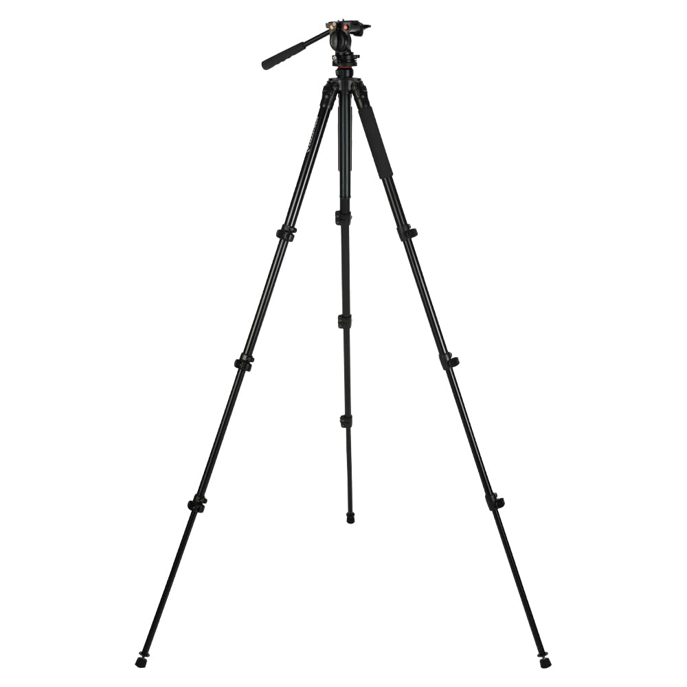 Celestron 82052 Regal Premium Statyw do lunet obserwacyjnych, lornetek, aparatów fotograficznych i małych teleskopów, czarny