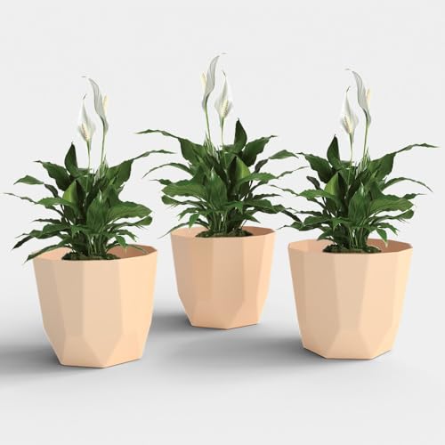 Image of YUCCABE ITALIA SHERA Hexa Plastic Planter Pot for Plants Decorative Flower Pot UV Protected Lightweight Indoor Outdoor Gamla for Home Decor, Balcony, Garden & Living Room (Beige, 10 INCH - 3 Pcs)