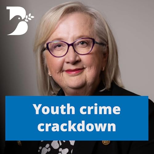 Youth crime crackdown cover art