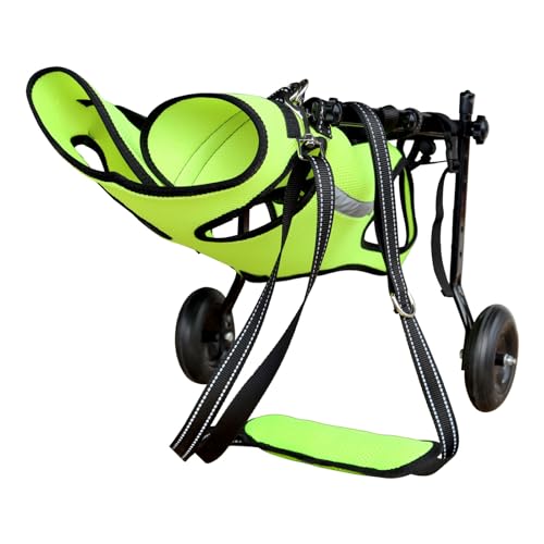 Silla de ruedas para perros pequeños: devuelve la felicidad a tu mascota con discapacidad