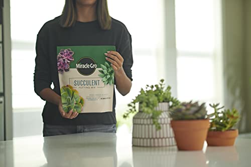 Image of Miracle-Gro Succulent Potting Mix, 4 qt. (2-Pack) | Potting Soil Mix for Indoor Succulents, Aloe Vera and More, Made with Miracle-Gro Plant Food