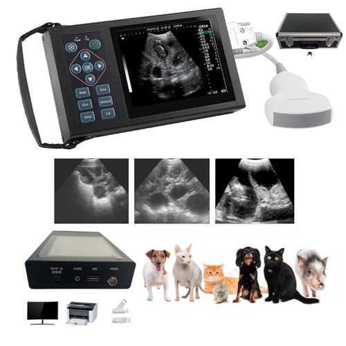 Máquina de ultrasonido portátil para animales, prueba de embarazo, enfermedades uterinas y grasa de la espalda, pantalla HD de 5.6 pulgadas, interfaz USB, batería recargable