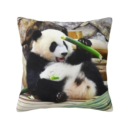 パンダ 彩浜 抱き枕カバー 正方形の枕カバー クッションカバー 装飾座布団カバー まくらカバー 贈り物 (45x45cm)