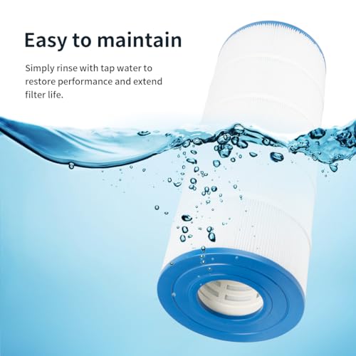 Filtre piscine C150S solution eau trouble compatible CS150E - 5