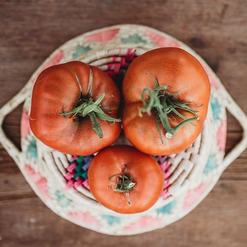 Thresh Seed Co. Red Brandywine Tomato Seeds image