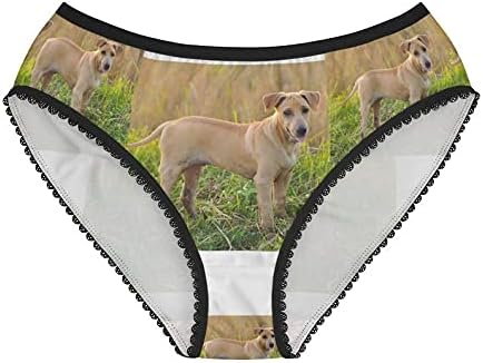 Thai Ridgeback Dog Panties, Thai Ridgeback Dog Underwear, Briefs, Cotton Briefs, Funny Underwear, Panties For Women