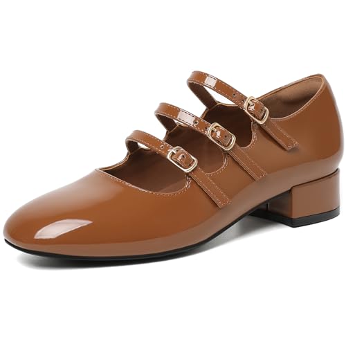 Mostrin Mary Jane Shoes Women Chunky Low Heels Round Toe Pumps for Women Adjustable Buckle Strap Dance Shoes Work Office Party Dress Shoes