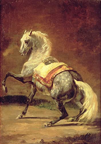 Toile Cheval gris Théodore Géricault affiche portrait 60x90cm