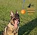 Nero Ball Pro K-9 Dog Training Ball on Rope – 2.75″ Heavy-Duty Natural Rubber Reward & Tug Toy with Nylon Throw Handle – High-Visibility Orange – Police, Military & Sport Working Dogs Fetch
