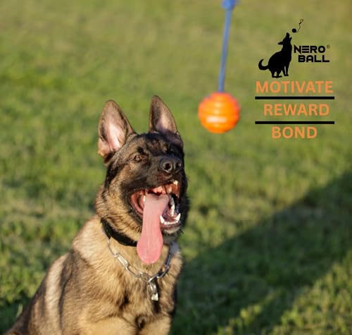 The Nero Ball Nero Ball Ultra Tm - Dog Training Ball on A Rope - Exercise and Reward Toy for Dogs