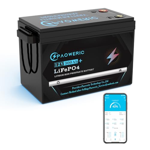 12V 300Ah LiFePO4 Battery Built-in Smart 200A BMS,Rechargeable Lithium Battery, Perfect for Solar systerm,RV,Battery Backup,Marine and Home Energy Storage