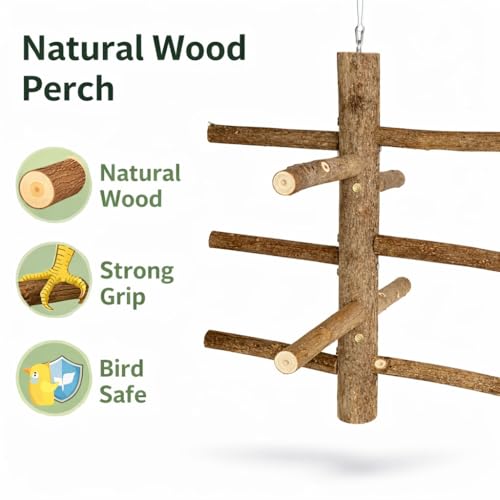 Image of KSK Natural Wooden Parrot Stand & Bird Perch - Tree Style Bird Perch for Cage & Table Top | Strong Natural Wood Training Perch for Parrots, Cockatiels, Conures, African Grey, Budgies & Medium Birds