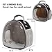 Guinea Pig Backpack Carrier, Bearded Dragon Carrier Backpack with Clear Bubble Window,Small Animal Travel Backpack for Hedgehog Rat Parrot,Rabbit,Sugar Glider,Airline Approved(Black, Backpack)