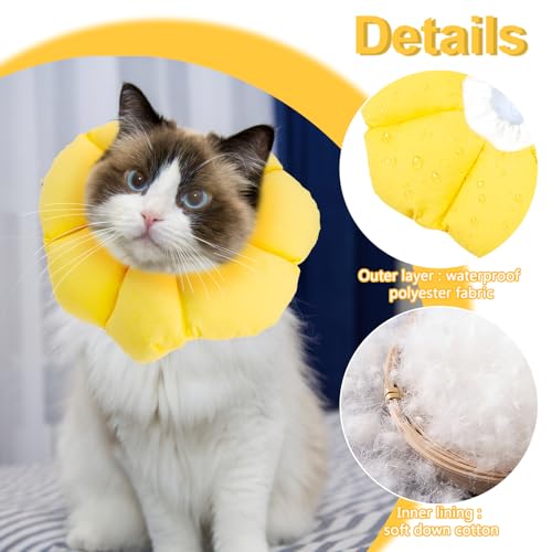 Halskrause Katze, Einstellbar wasserdichte Katzenkragen, Weich Sonnenblume Leckschutz Katze, Halskragen Katzen für Klein Hund Nach Operation Schutzkragen (Gelb, M)