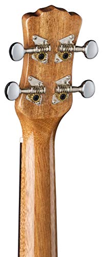 Luna Concert Ukulele With Gigbag, Ziricote #TOP5
