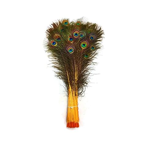 Feather Store - 10 Real Dyed Peacock Eye Feathers 30-35" - Perfect for Crafts, Weddings, Halloween, Home Decor, Peacock Feathers for Vase, Peacock Feather Decorations, and More - Yellow Cover