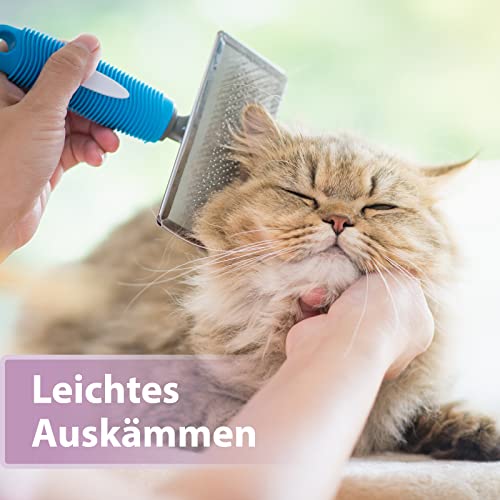 Felisept Fellpflegespray für Katzen 250ml - Entfilzungsspray Katze - Katze verfilztes Fell entfernen - besonderer Schutz & Pflege für das Katzenfell - Erleichtert das Auskämmen