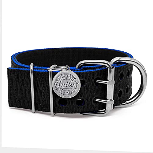 Pit Bull Collar, Dog Collar For Large Dogs, Heavy Duty Nylon, Stainless Steel Hardware (Medium, Black With Blue Trim) #TOP1