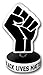 Black Lives Matter BLM Bobble-Fist Solidarity First Bobblehead