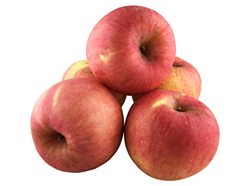 Global Seasons Fuji Apples 5 Count (China)
