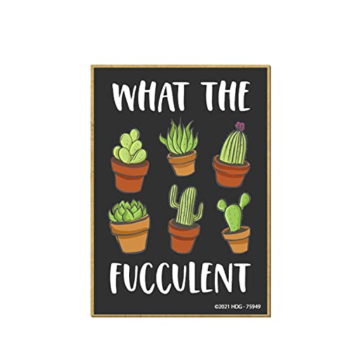 Honey Dew Gifts, What The Fucculent, 2.5 inch by 3.5 inch, Locker Decoration, Refrigerator Magnets, Fridge Magnets, Succulent Gifts for Cactus Lover, Cactus Mom, 75949