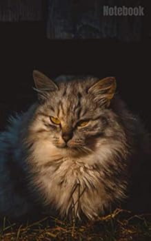 Paperback Notebook (Cats) Book