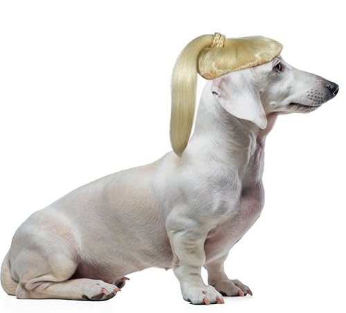 Rubies Blonde Pony Tail Pet Costume for Dogs or Cats, S/M