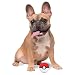 Pokémon 2.5' Poké Ball Fetch Ball für Hunde