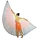 MUNAFIE Halloween Costumes Belly Dance Isis Wings (Wings+Stick+Bag) Rainbow