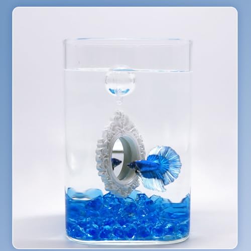 2 pcs Set Betta Floating Training Mirror for Fish Tank, Aquarium Feeding Floating Mirrors, Fish Toys, Bettas Toy