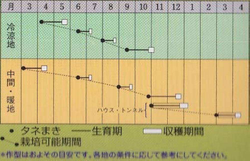 Amazon.co.jp: タキイ種苗 コマツナ楽天 ペレット種子野菜種