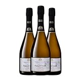 Brut Fernand Engel Crémant Blanc de Noir Pinot Negro Brut Alsace Reserva 75 cl Espumoso blanco (Caja de 3 Botellas de 75 cl)